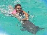 nado delfines